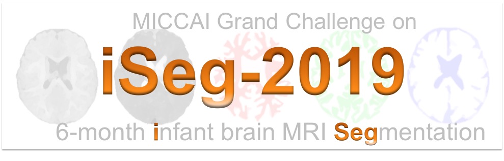 MICCAI Grand Challenge on 6-month Infant Brain MRI Segmentation from Multiple Sites